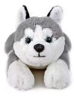 Fao Schwarz Adopt A Pet Plush Dog Husky Puppy 16  Stuffed Floppy Wolf Laying Toy