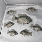 Vintage Set Of 7 Signed  Pottery Fish Wall Art Set Signed Studio Unique   