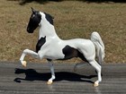 Peter Stone Pinto Paint Saddlebred Model Horse