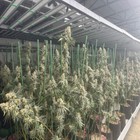 Spider Fc-e8000 Led Grow Light Bar Full Spectrum 6x6ft Dimmable 800w Plant Light