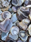 Botswana Agate Rough 1-2  A  Pound Lbs Tumbling Lapidary Banding Wholesale Bulk