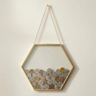  Gold Glass Frame For Coin Display  Wall Hanging Coin Collecting Holders  Large