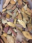 100 Pcs Authentic Ancient Indian Arrowhead Collection Lot Field Grade B Random