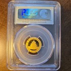 2013 China 50 Yuan 1 10 Oz Gold Panda  graded Pcgs Ms69 With First Strike   