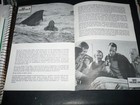 Jaws 2  Orig Austrian Film Program  roy Scheider  Lorraine Gary 