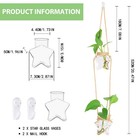  star Shaped Glass Vase Propagation Station For Hydroponic Plant Cuttings 