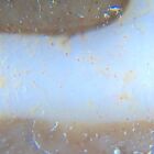 Magic Tibetan Old Agate 9eye Cinnabar Totem Dzi Bead Amulet12 49mm