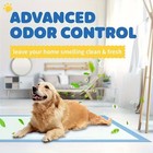 50 Count 36  51 Inch Extra Large Dog Pee Pads  Super Absorbent Leak-proof Puppy