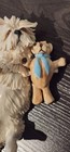 West Highland Terrier Eve Pearce Ooak Dog Signed 1 1 Westie Dog Figurine