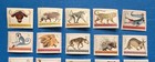 South Africa-bophuthatswana Stamps  Scott 5-21 Complete Set Mnh