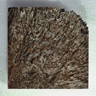 Stunning Stabilized Pewter Gray Maple Lace Burl Bowl Blank 1883  7 1 4 X  2 3 16