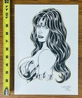Wonder Woman Signed Original Art Sketch Wellington Diaz  2020  8 25 X 11 75 
