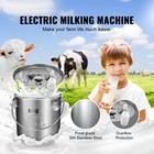 Goat Milking Machine Goat Milker 12 L 304 Stainless Steel Bucket For Cows