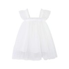 Toddler Girls Fly Sleeve Holiday Party Costume Mesh Dress Dance Party Princess