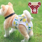Female Pet Dog Puppy Diaper Pants Nappy Physiological Sanitary Panties Underwear
