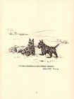 Vintage Scottish Terrier Print Shakespeare Henry Viii Quote Print 6971k