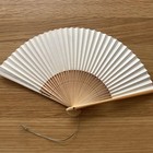 Folding Sensu Fan Miyawaki Ogian  Fish Pattern