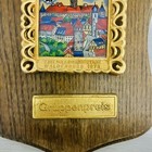 Rare Vintage Plaque Commemorating The 2nd Volkswanderung Waldenduro In 1970