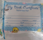 Vintage Gerber Baby Looney Tunes Birth Certificate Pillow 1997 10  X 13 