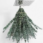 20 Pcs Real Eucalyptus 17  Dried Eucalyptus Stems  Wedding Decor  Home Decor  
