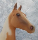 Vintage 1990 Breyer Ce Caramel Tobiano Pinto Saddlebred Weanling 35 Years Old B