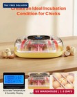 24 Egg Incubator  Automatic Egg Turner With Led Candler  Temperature   Humidity