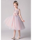 Kid Flower Girl Lace Tulle Tutu Dress Pageant Princess Wedding Bridesmade Gown