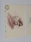 Walt Disney Collectors Society Ariel Little Mermaid 5 X 7 Fine Art Print