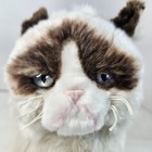 Gund Grumpy Cat Plush Silver Eyes Beige Brown Stuffed Animal Toy