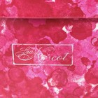 Vintage Lady Ascot Pink Train Case Vanity Makeup Box 60 s Retro Travel Bag