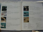Whales Dolphins And Porpoises Book Maritime Nautical Marine   050 