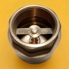 1-1 4  Brass Check Valve 1 25    Npt Water Check Valve For Submersible Well Pum   