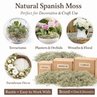 Natural Spanish Moss Decorative Craft Moss For Planters Terrariums Wreaths