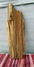Excellent 20  Fossil Wood 23   long druzy Sparkle knots solid Specimen nice Detail