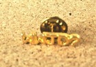 Wwjd  Lapel Pin   What Would Jesus Do  Gold Tone