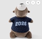 Brown Plush Teddy Bear Stuffed Animal With Blue Shirt  2026  Clothes Included
