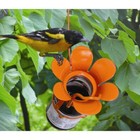 Large Orange Blossom Fliteline Jelly jam Oriole Feeder Bird Songbird Essentials 