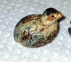 Vintage Set Of 2 Ceramic Quail Hand Painted Decorated Mottled Finish Figurines