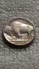 1935 Philadelphia Mint Better-buffalo Nickel-full Dates-nice Grades 