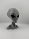 6    Gray Alien Head Bust     3d Printed Petg Ufo   Roswell Style - Rattles
