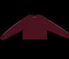 Taylor Swift In The Trees Folklore Soundtrack  Crop Shirt Nwt Color Maroon Rare