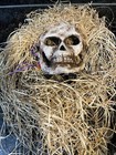 Lot 3 Handmade Wall Hanging Masks Or Wear Them  See Pics For Description Signed