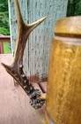 Vintage Handcrafted Wooden Mug With Antler Handle