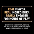 Pet Qwerks Nylon Stick Barkbone Durable Dog Chew Toy Medium Peanut Butter Flavor