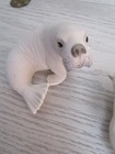 Vintage Hutschenreuther White Walrus Seal   Polar Bear Figurines Germany
