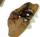 Vintage Retro 1970s Driftwood And Ceramic Mushroom Wall Hangings Mcm Hippy