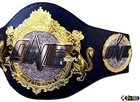 One World Championship Title Belt Fc Mma Ufc 2mm Brass Adult Size Replica New