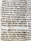 Torah Scroll Fragment Vellum Manuscript 19th Century Antique Book Of Leviticus