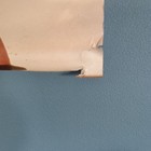 Whitney Houston   Whitney Dancin  Special 1988 Japan Original Promo Poster 20x28