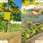 20 40pcs Yellow Sticky Fly Trap Paper Traps Fruit Flies Insect Glue Catcher